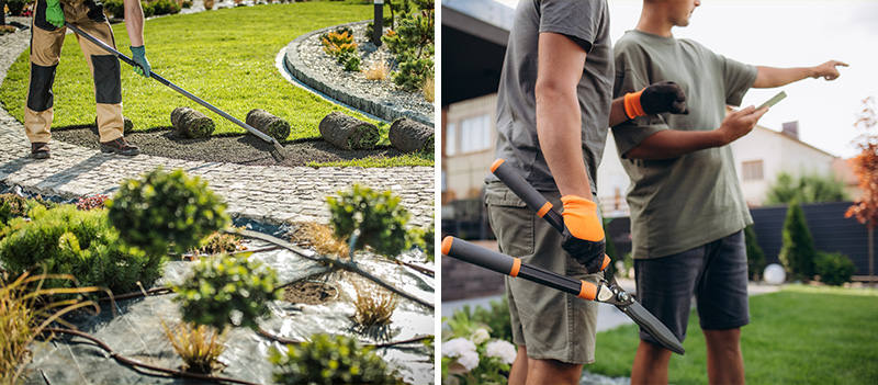 Backyard Renovations